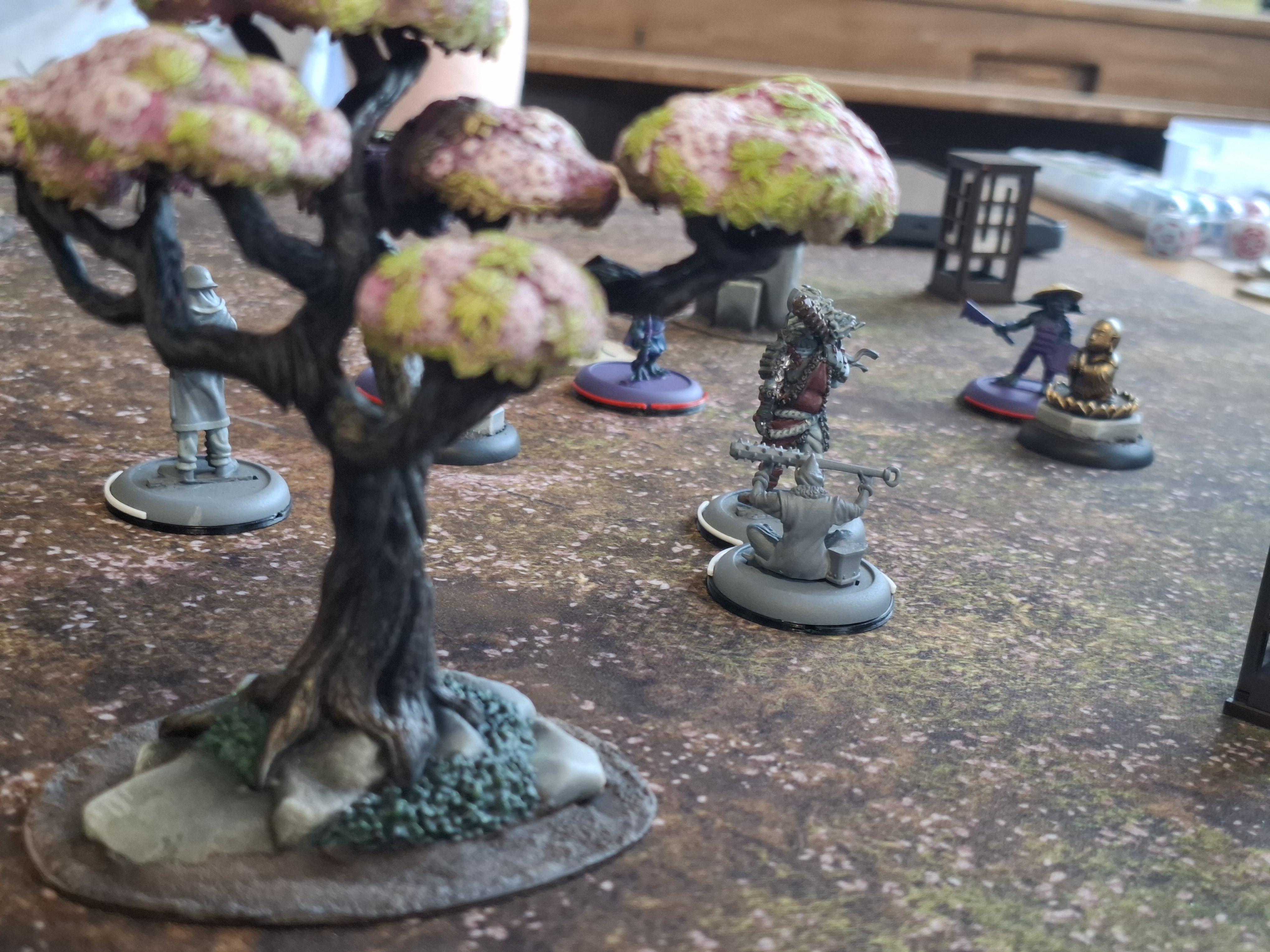 6th July 2026 - Club Night Report